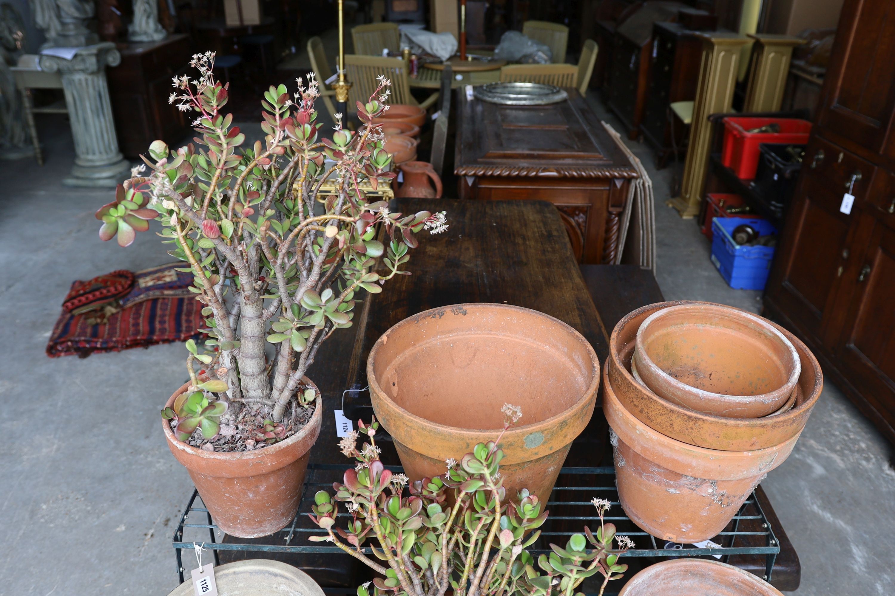 A painted wrought iron three tier pot stand together with a collection of 13 assorted terracotta and pottery pots